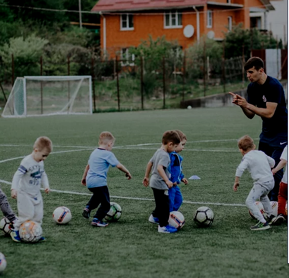 Групповые тренировки дошкольный возраст 