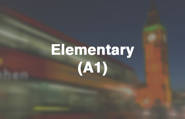 BIG STEPS 1 начальный для взрослых