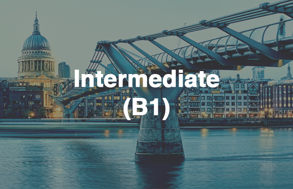 BIG STEPS 3 средний для взрослых