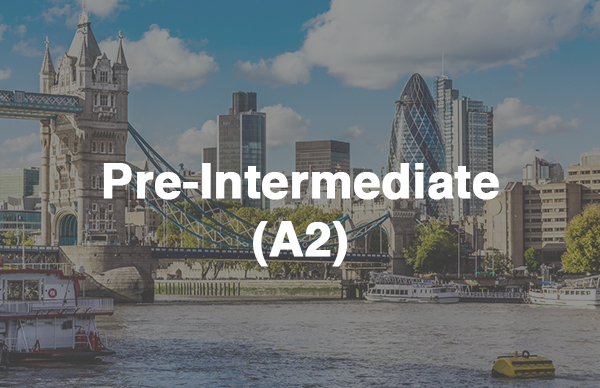 BIG STEPS 2 ниже среднего для взрослых